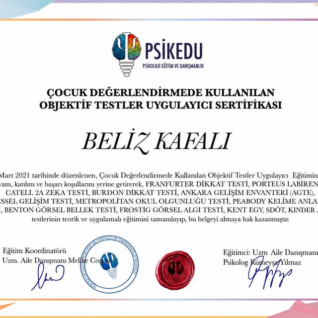 Resmi büyüt: certificate 3