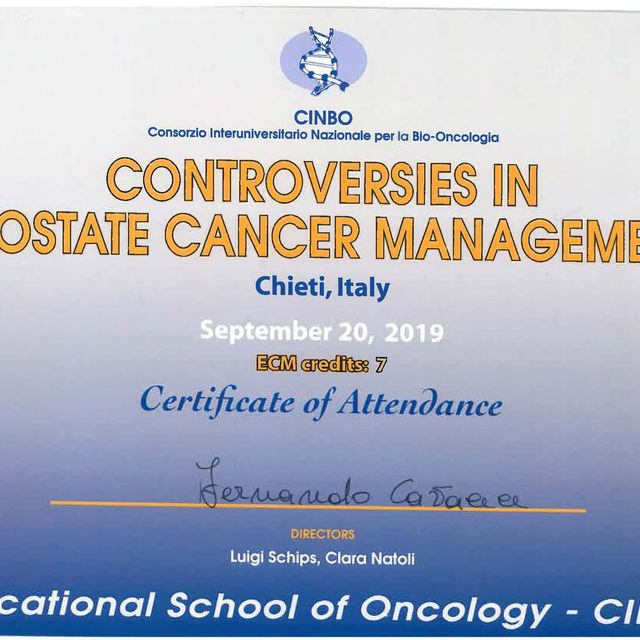 Ingrandire l'immagine: certificate 46
