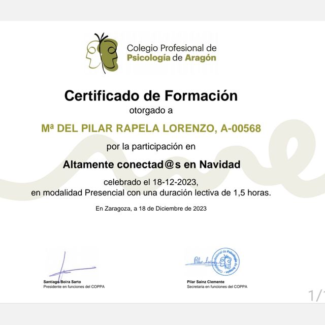 Acercar imagen: certificate 17
