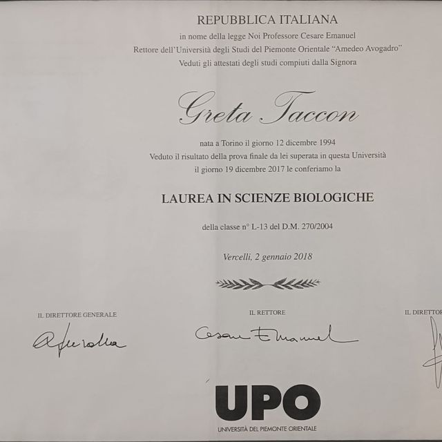 Ingrandire l'immagine: certificate 1