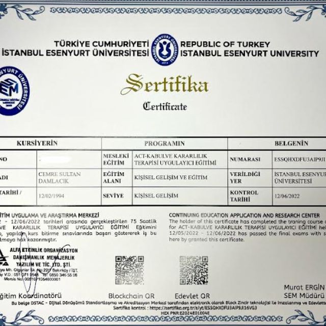 Resmi büyüt: certificate 3