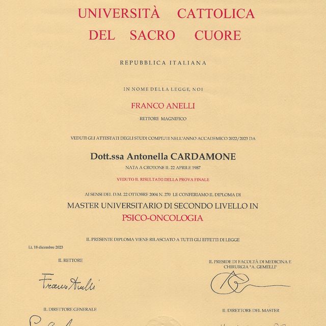 Ingrandire l'immagine: certificate 4