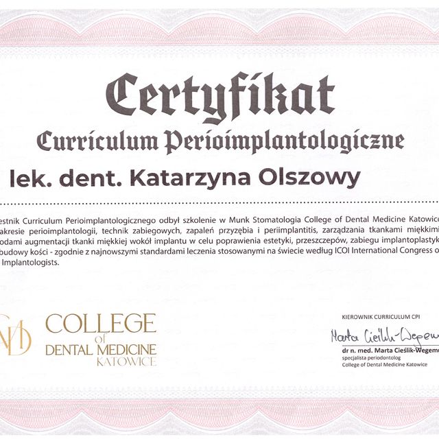 Powiększ obraz: certificate 1