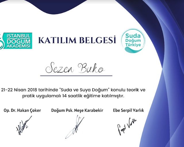 Resmi büyüt: certificate 2