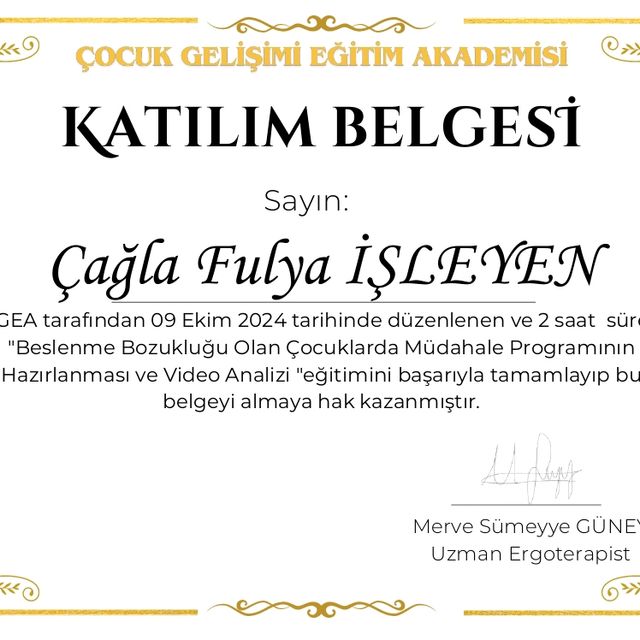 Resmi büyüt: certificate 18