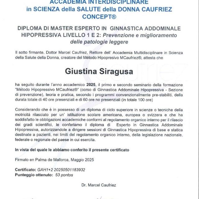 Ingrandire l'immagine: certificate 28