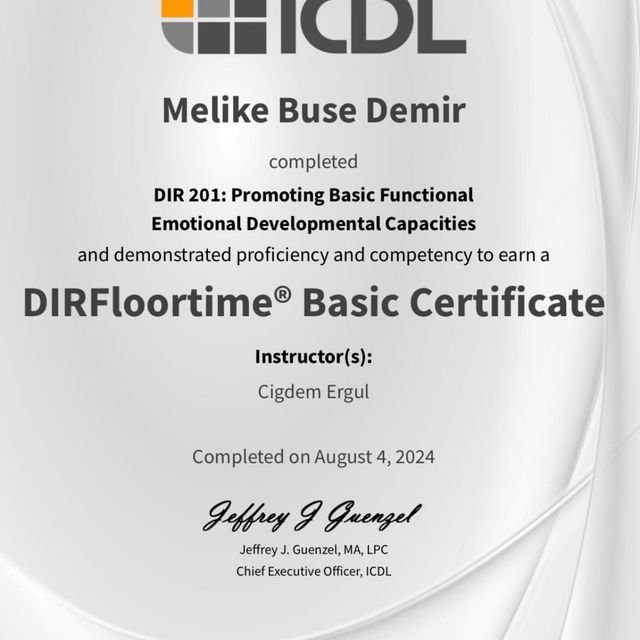 Resmi büyüt: certificate 2