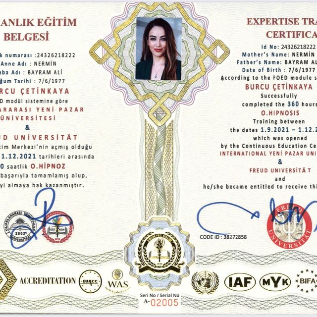 Resmi büyüt: certificate 27