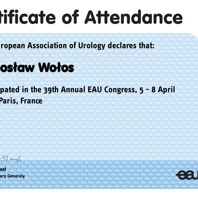 Powiększ obraz: certificate 2