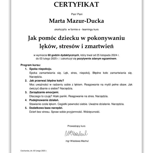 Powiększ obraz: certificate 2