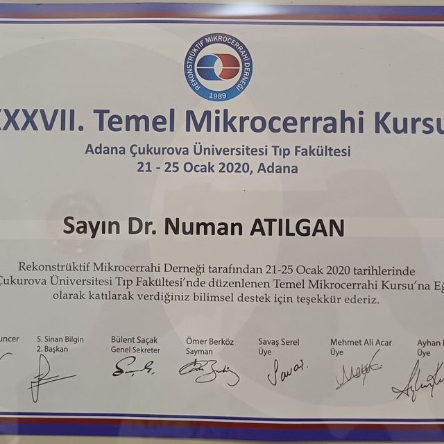 Resmi büyüt: certificate 14