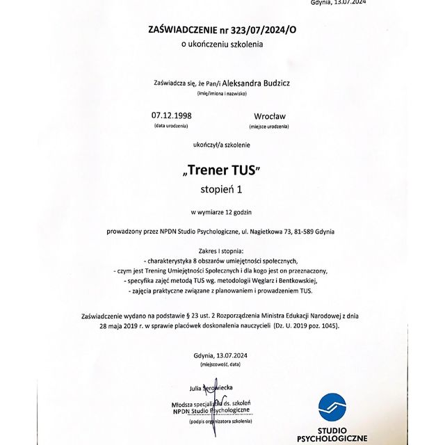 Powiększ obraz: certificate 3