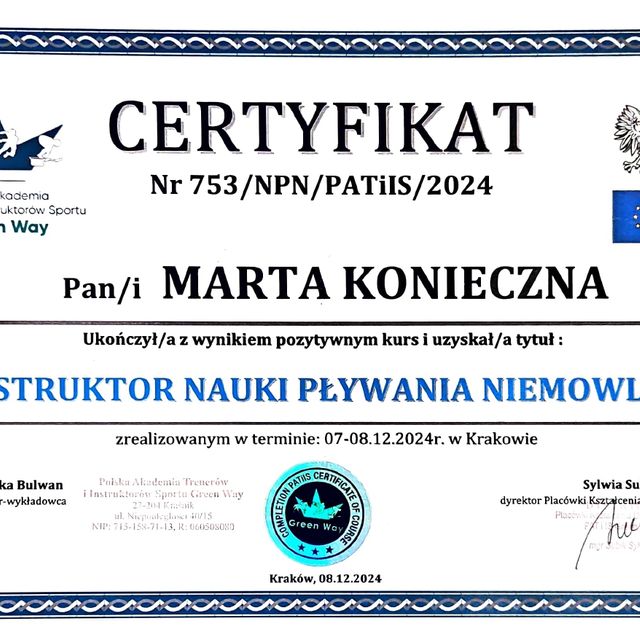 Powiększ obraz: certificate 4
