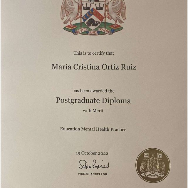 Acercar imagen: certificate 1