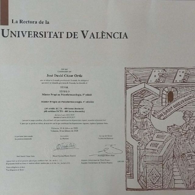 Acercar imagen: certificate 6