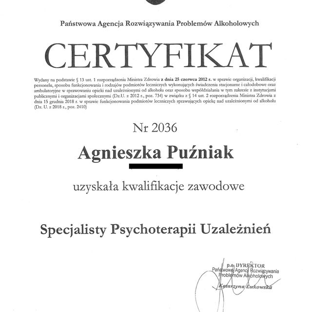 Powiększ obraz: certificate 2