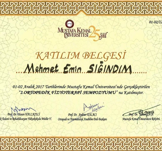 Resmi büyüt: certificate 1