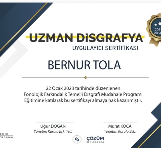 Resmi büyüt: certificate 22