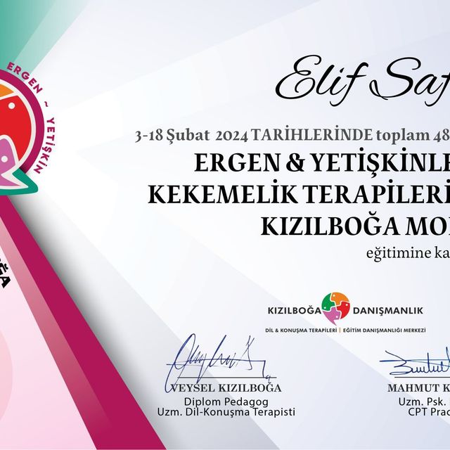 Resmi büyüt: certificate 3