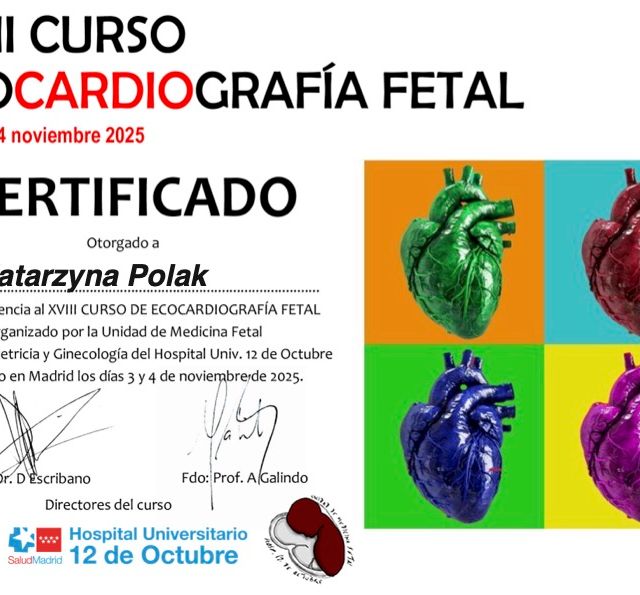 Acercar imagen: certificate 3