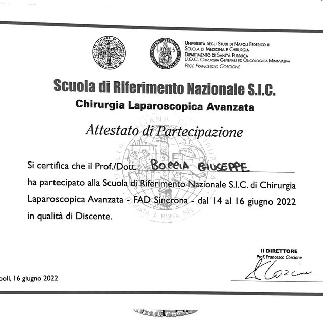 Ingrandire l'immagine: certificate 13