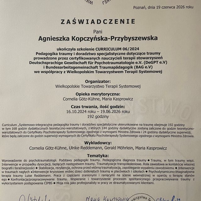 Powiększ obraz: certificate 7