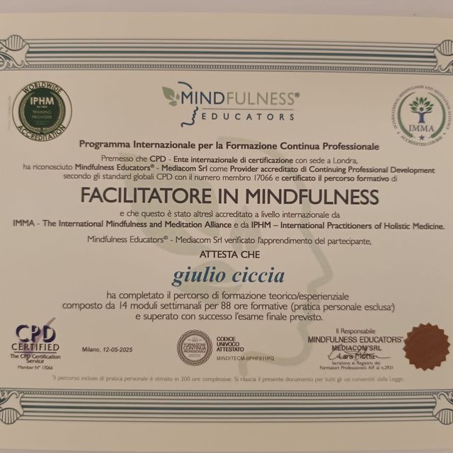 Ingrandire l'immagine: certificate 3