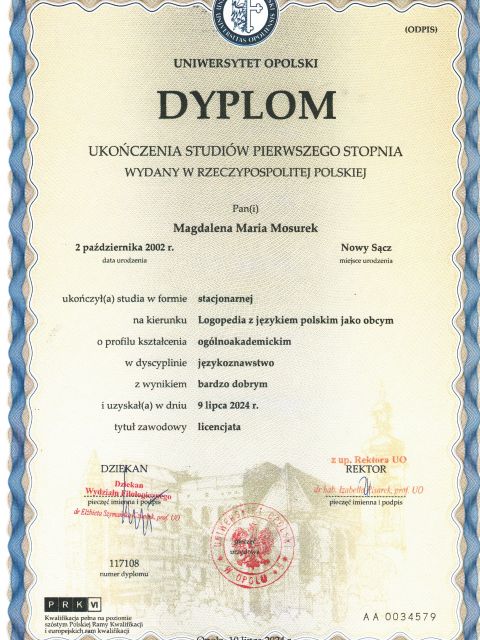 Powiększ obraz: certificate 1
