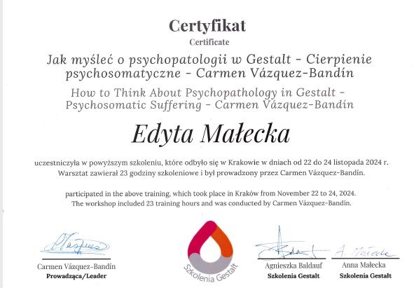 Powiększ obraz: certificate 3