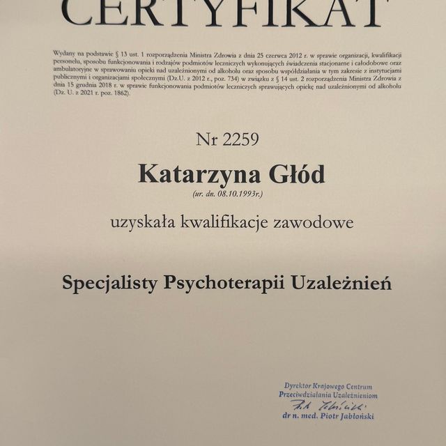 Powiększ obraz: certificate 1