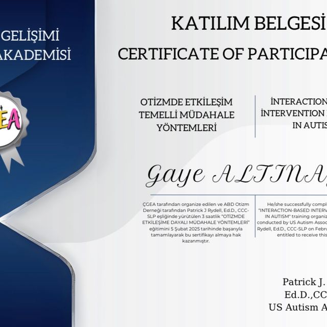 Resmi büyüt: certificate 6