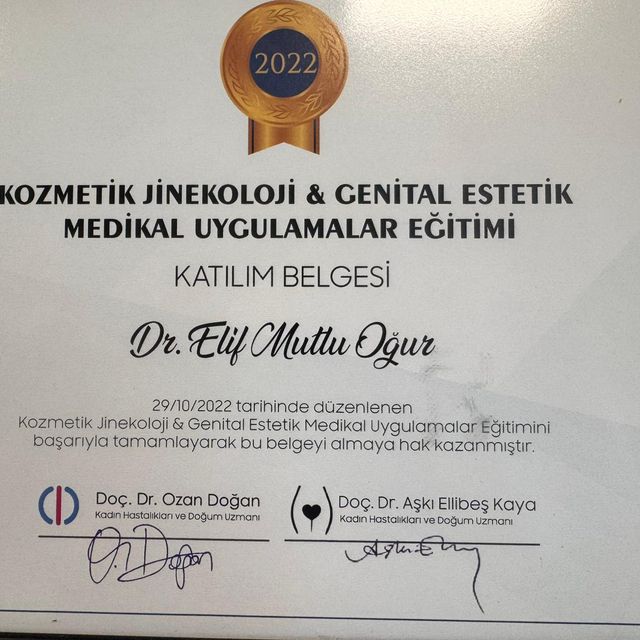 Resmi büyüt: certificate 1