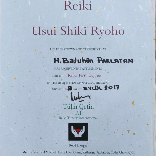 Resmi büyüt: certificate 10