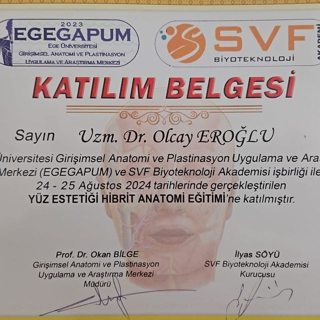 Resmi büyüt: certificate 3