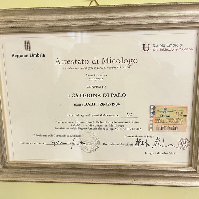 Ingrandire l'immagine: certificate 3