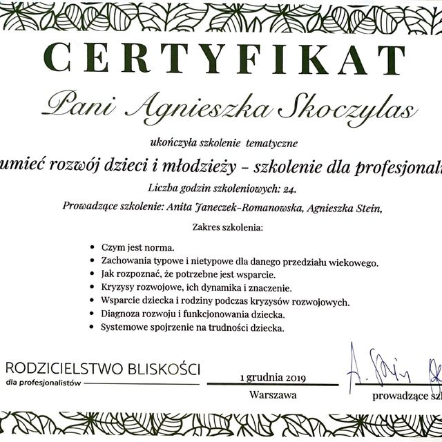 Powiększ obraz: certificate 9