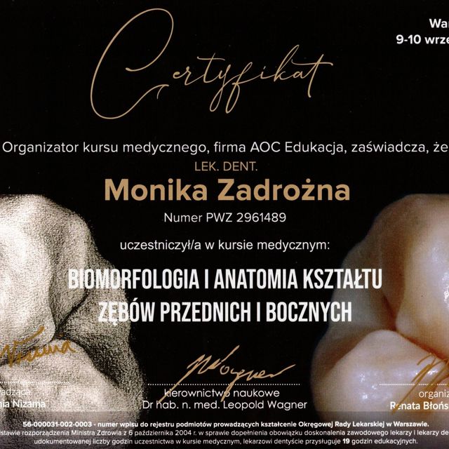 Powiększ obraz: certificate 2