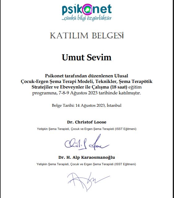 Resmi büyüt: certificate 1