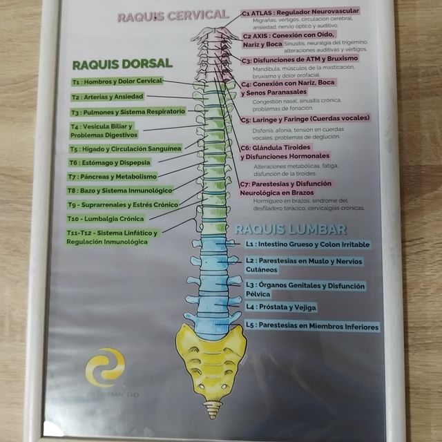 Acercar imagen: certificate 2