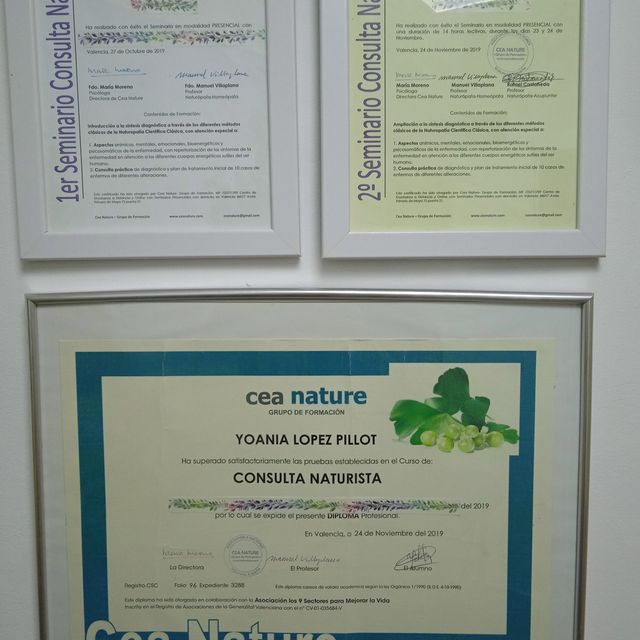 Acercar imagen: certificate 1