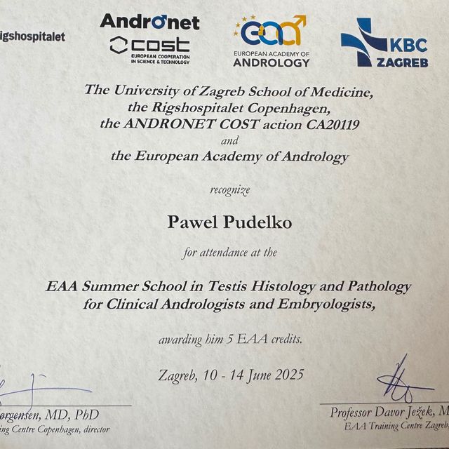 Powiększ obraz: certificate 2