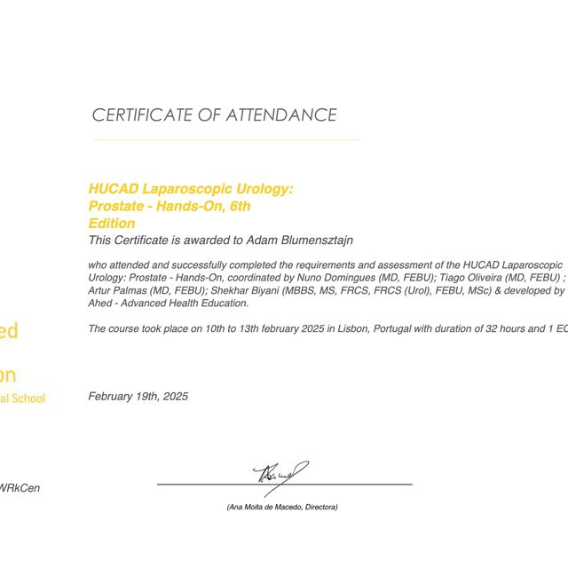 Powiększ obraz: certificate 6