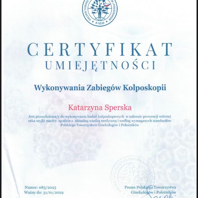 Powiększ obraz: certificate 2