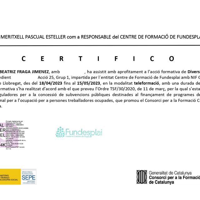 Acercar imagen: certificate 8