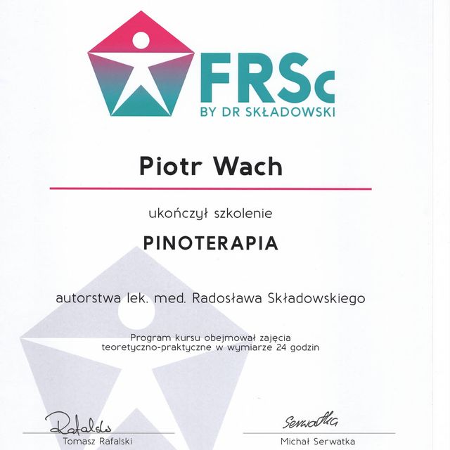 Powiększ obraz: certificate 31