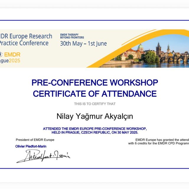 Resmi büyüt: certificate 7