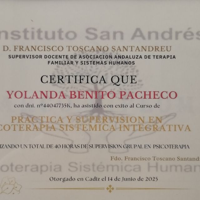 Acercar imagen: certificate 5