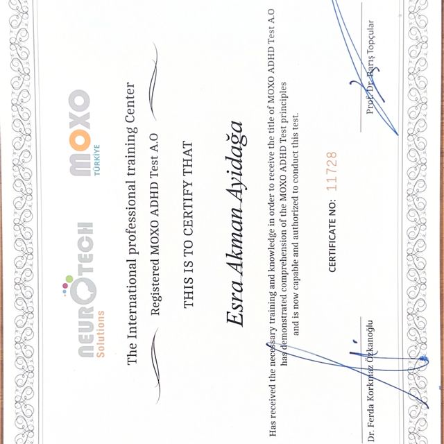 Resmi büyüt: certificate 2