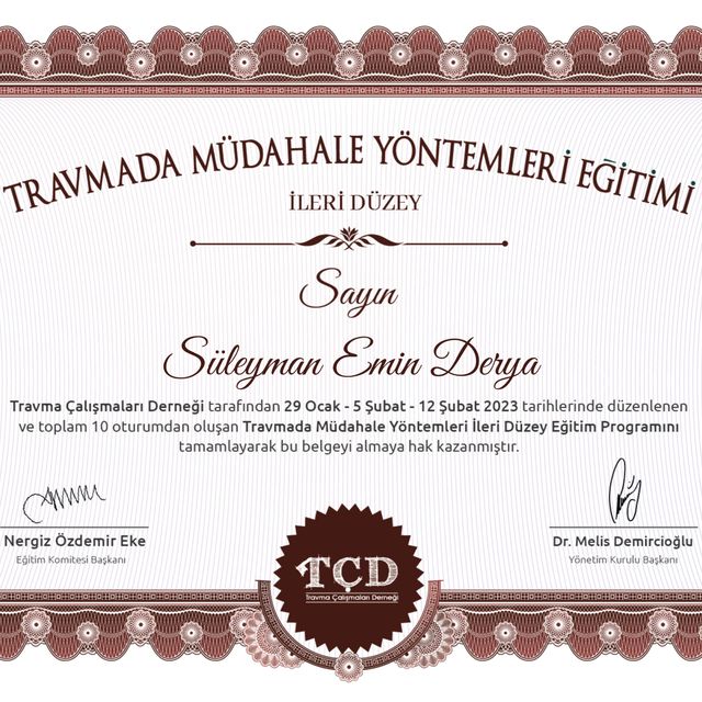 Resmi büyüt: certificate 9