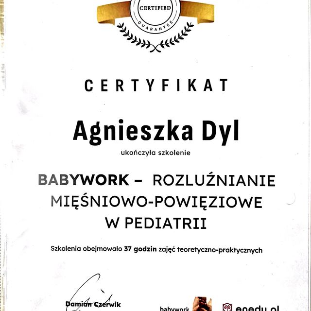 Powiększ obraz: certificate 13